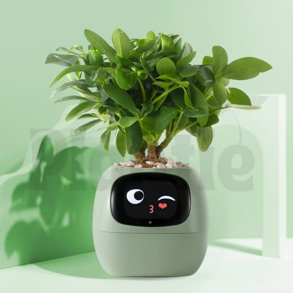GrowMate Smart Pot 🪴
