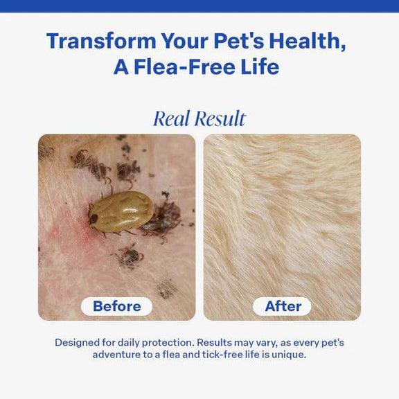 Fur Life Flea And Tick Reviews FurLife™ Flea and Tick collar – Katml