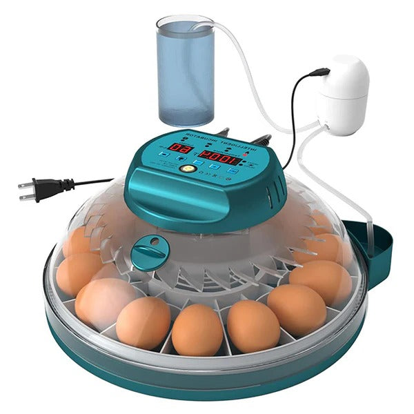 15-30 Eggs Incubator with Automatic Humidity Control