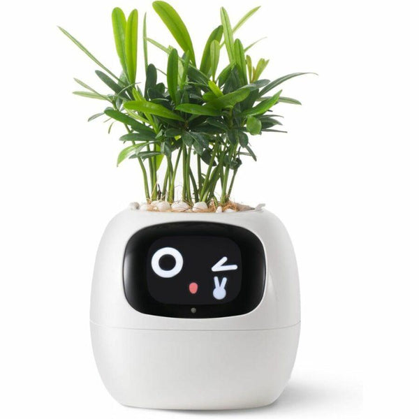 Smart Plant Pot Ivy – Innovative Plant Care