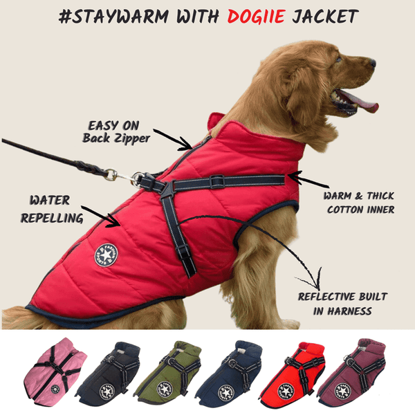 Waterproof pet jacket with built-in straps - FOFOPO