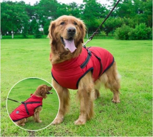 Waterproof pet jacket with built-in straps - FOFOPO