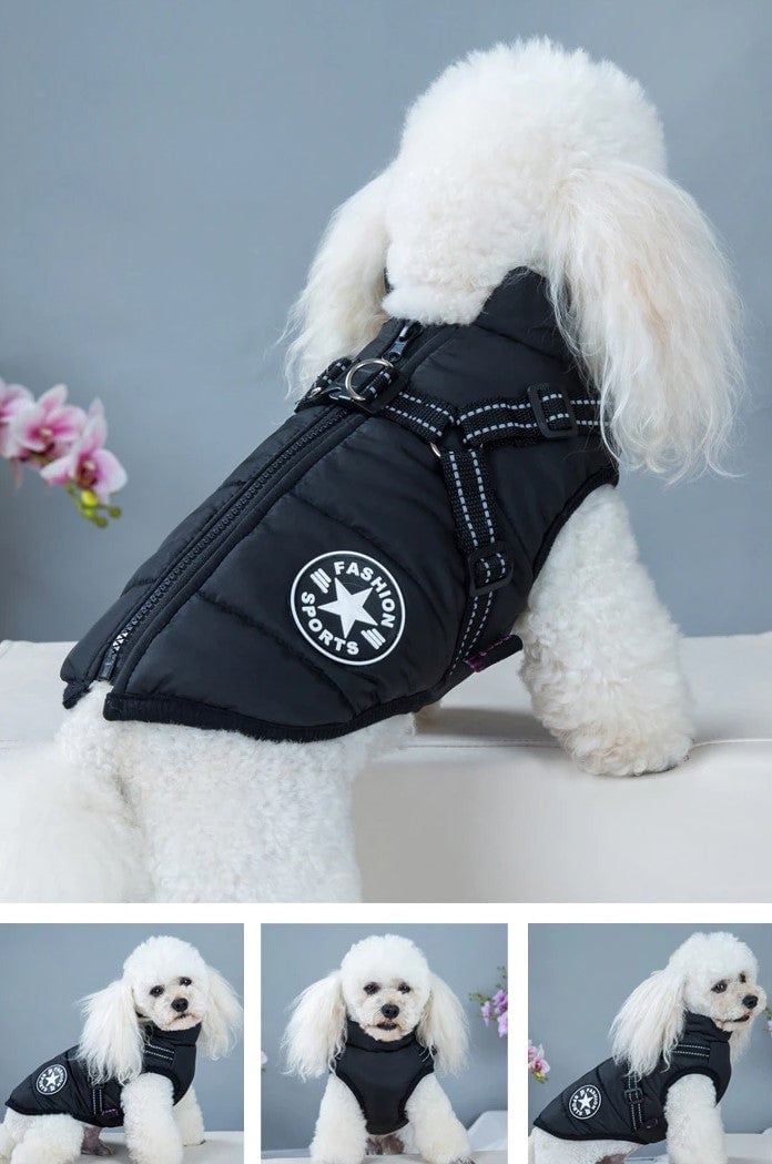 Waterproof pet jacket with built-in straps - FOFOPO