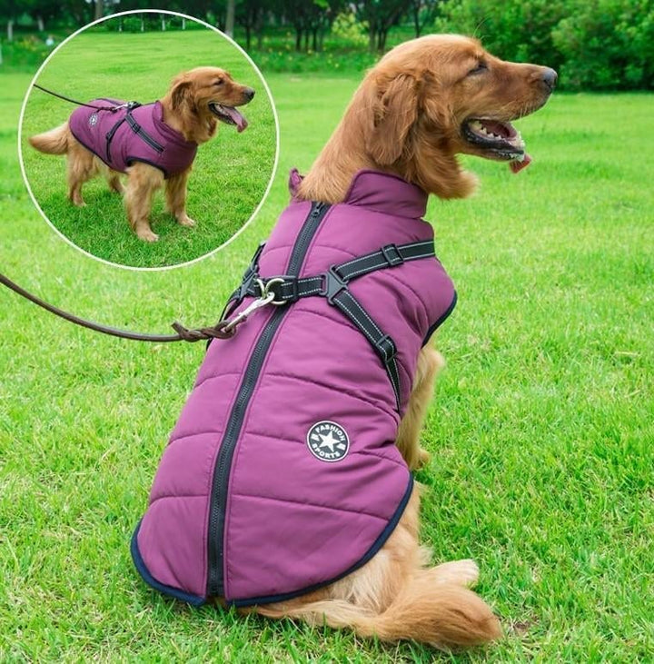 Waterproof pet jacket with built-in straps - FOFOPO